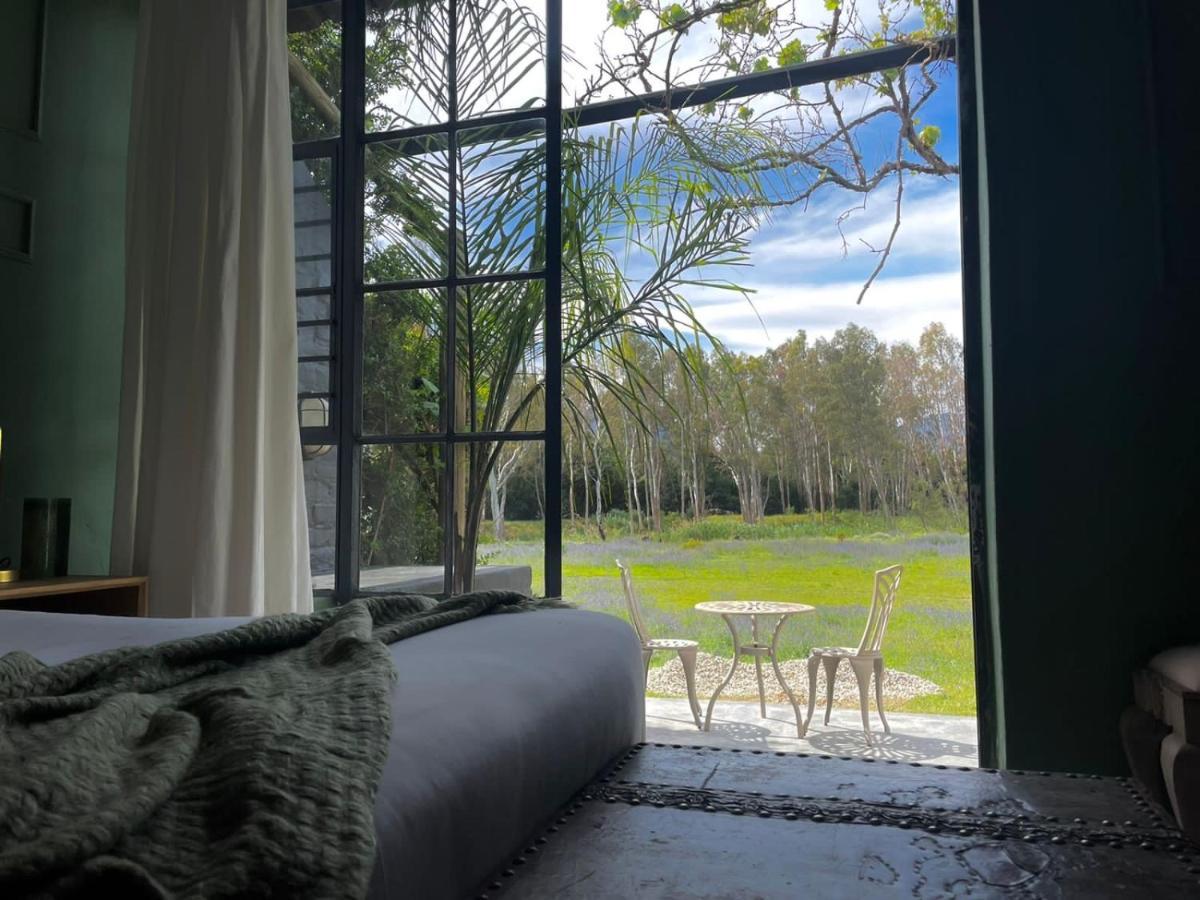 Le Reve Boutique Hotel تولباغ المظهر الخارجي الصورة