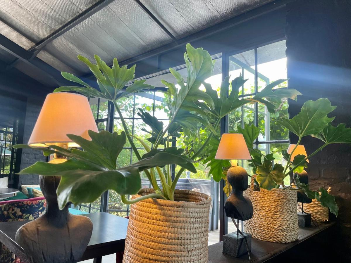 Le Reve Boutique Hotel تولباغ المظهر الخارجي الصورة